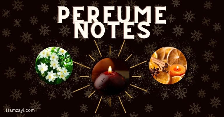 What Are Perfume Notes? Everything You Want To Know