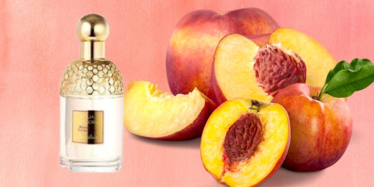 10 Best Smelling Peach Perfumes-Expert’s Picks