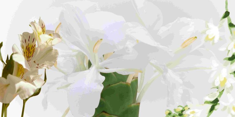 Why Tuberose Perfumes are Powerful? Freighting Facts
