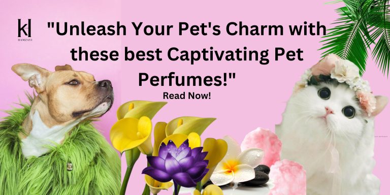 Best 9 Pet Perfumes to Avoid Stinks
