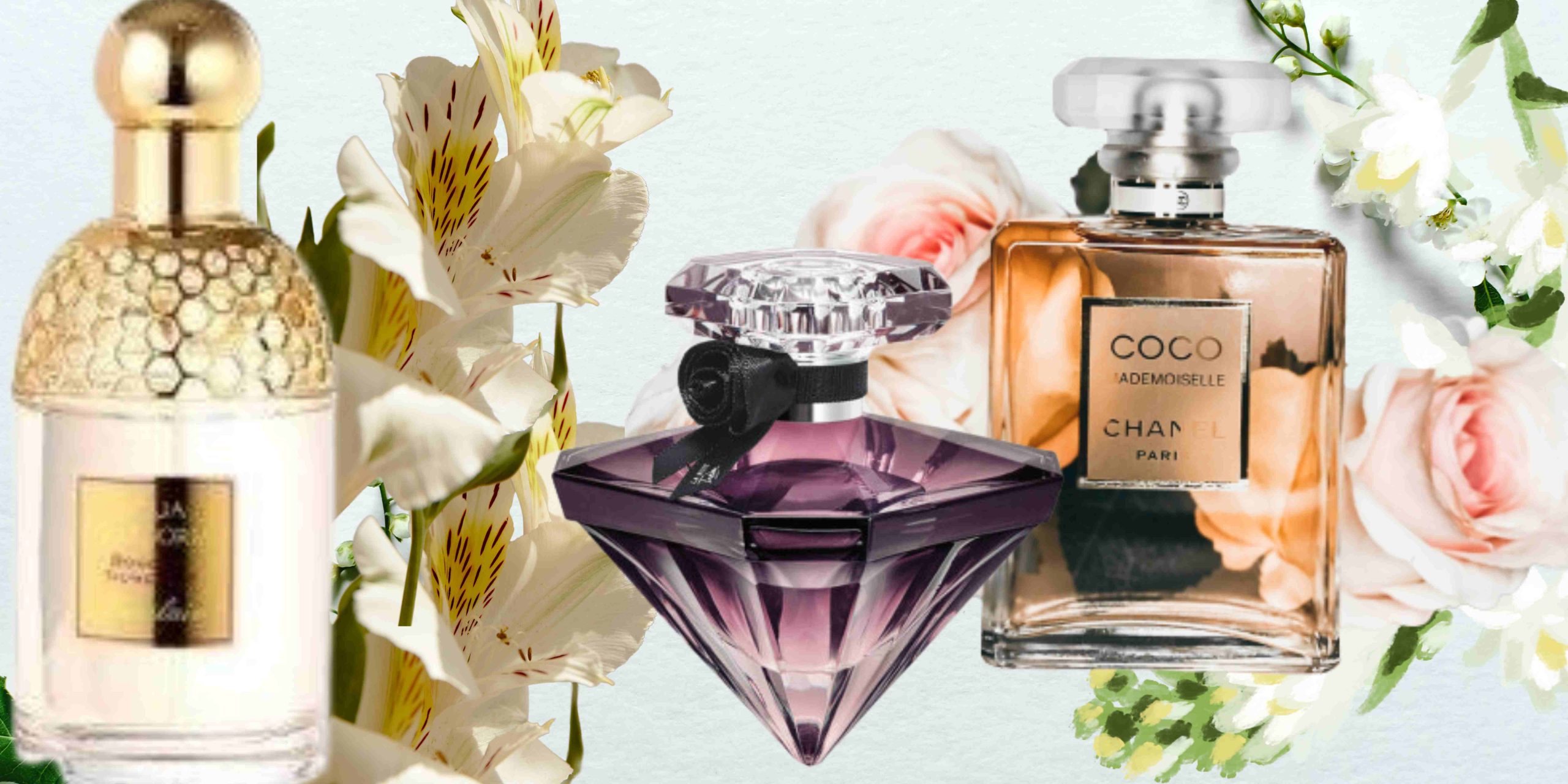 Heliotrope Perfumes: The Delightful Fragrance for Your Senses
