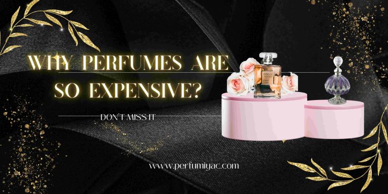 101 Perfums: Why Expensive Perfumes Are So Pricey?